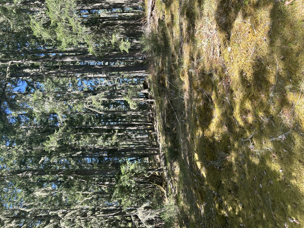 Photo №1 of Larkspur North