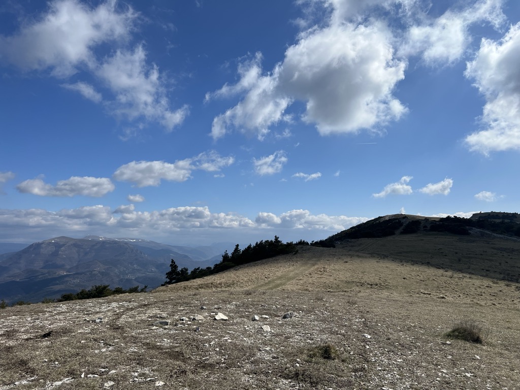 Le Coucouru