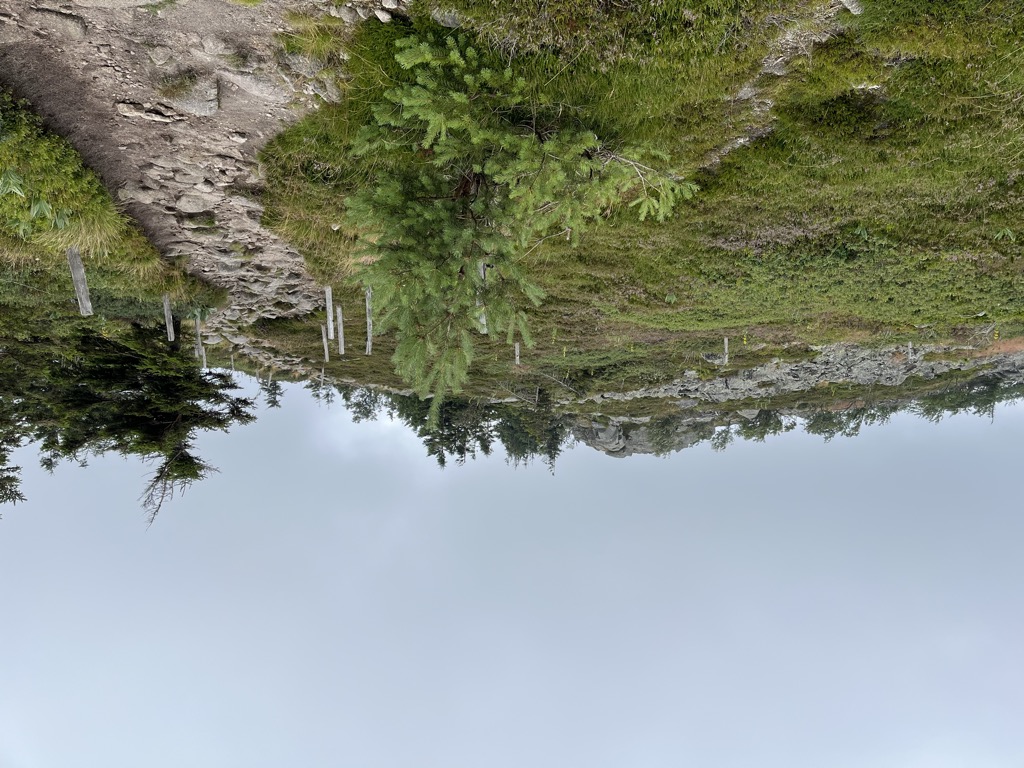 Photo №1 of Le Tanet