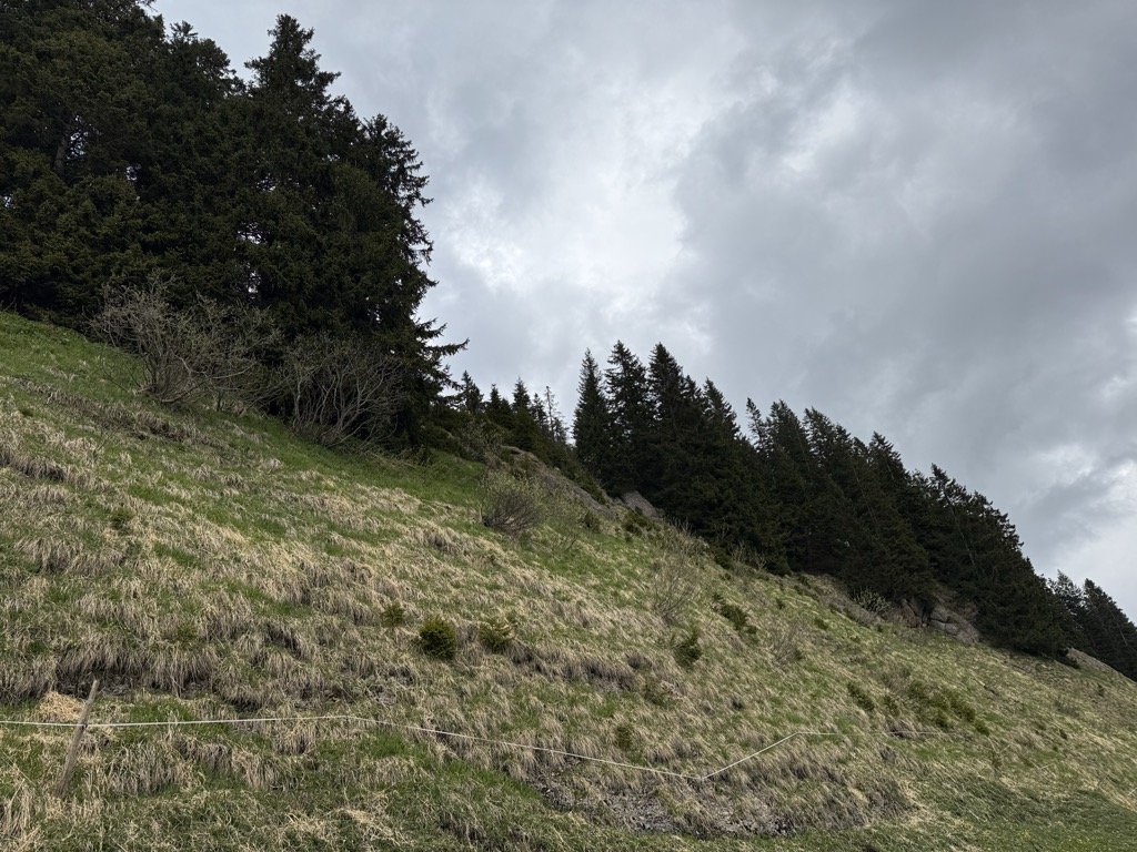 Photo №3 of Leiterberg