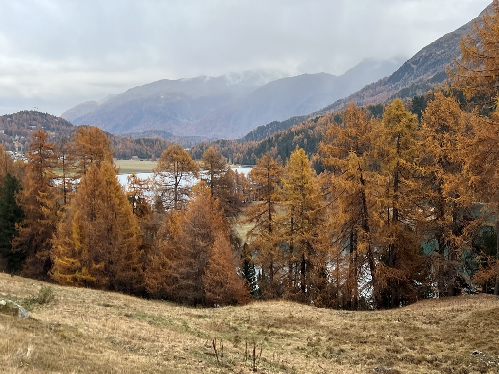 Photo №4 of Lej da Champfèr