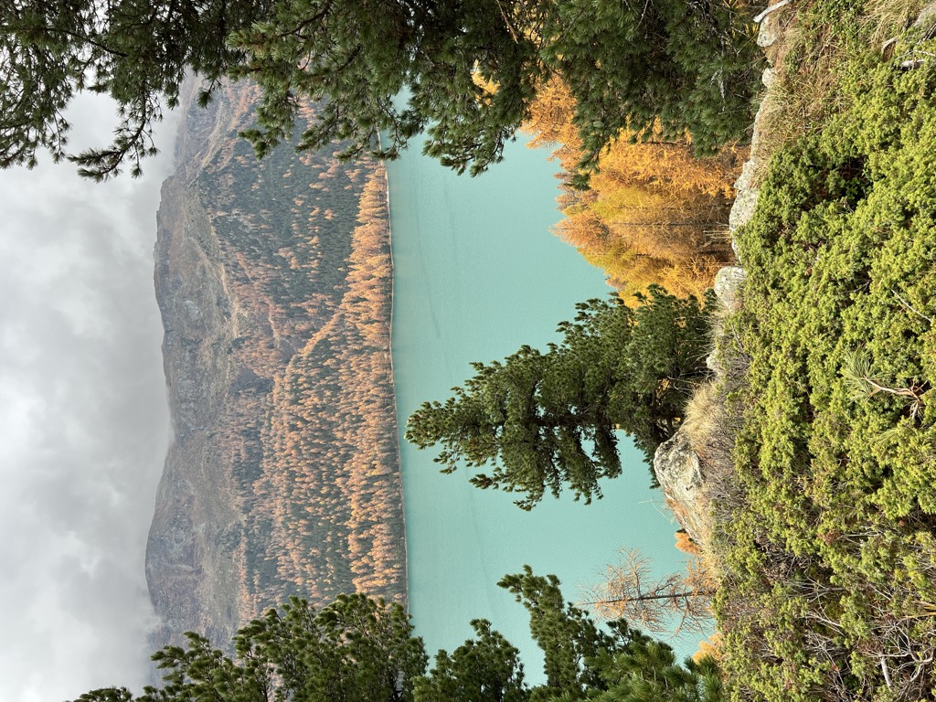Photo №4 of Lake Silvaplana