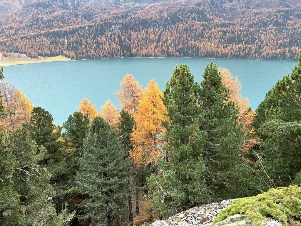 Photo №3 of Lake Silvaplana