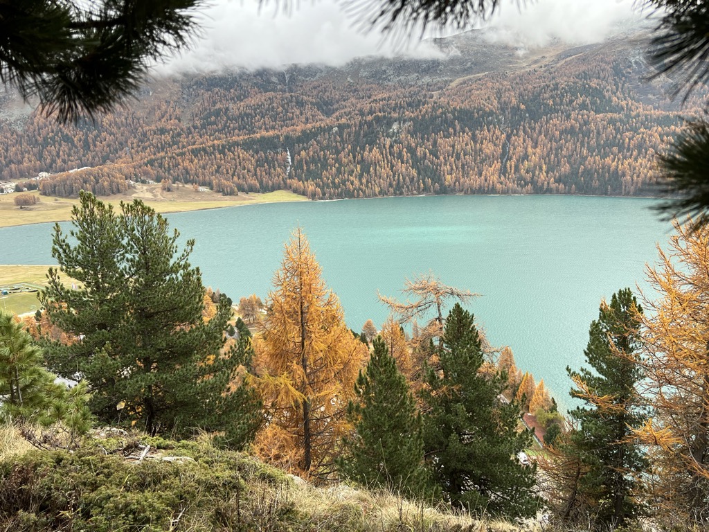 Photo №2 of Lake Silvaplana