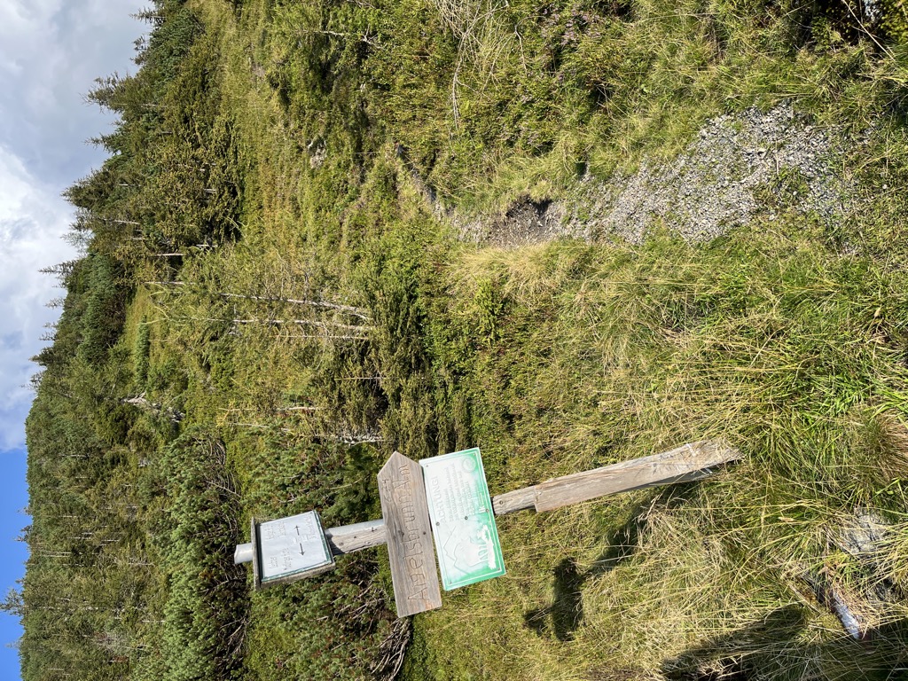 Photo №2 of Leobner Törl