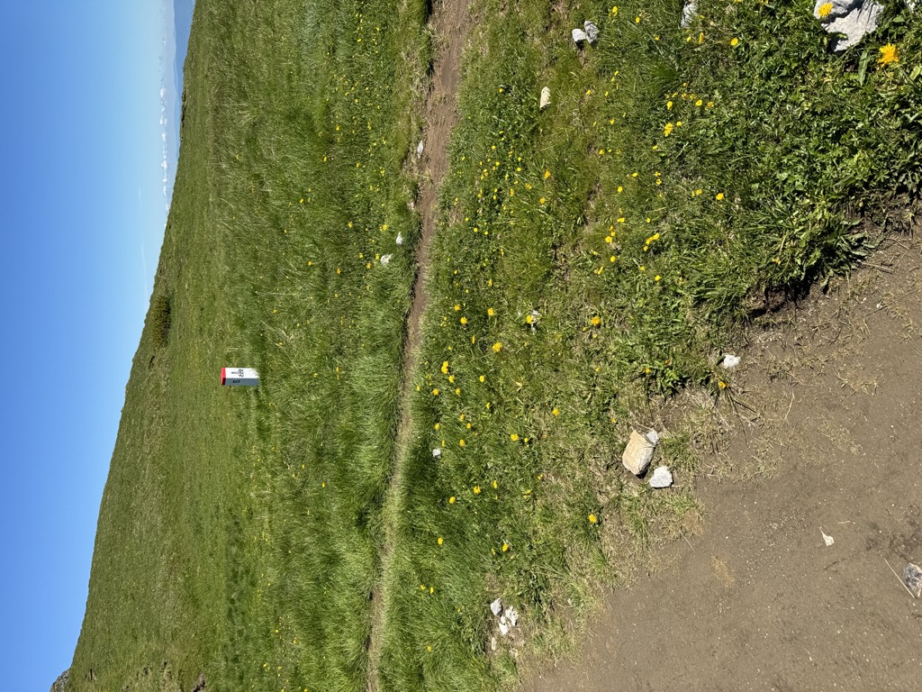Photo №2 of Liliowe / Ľaliové sedlo