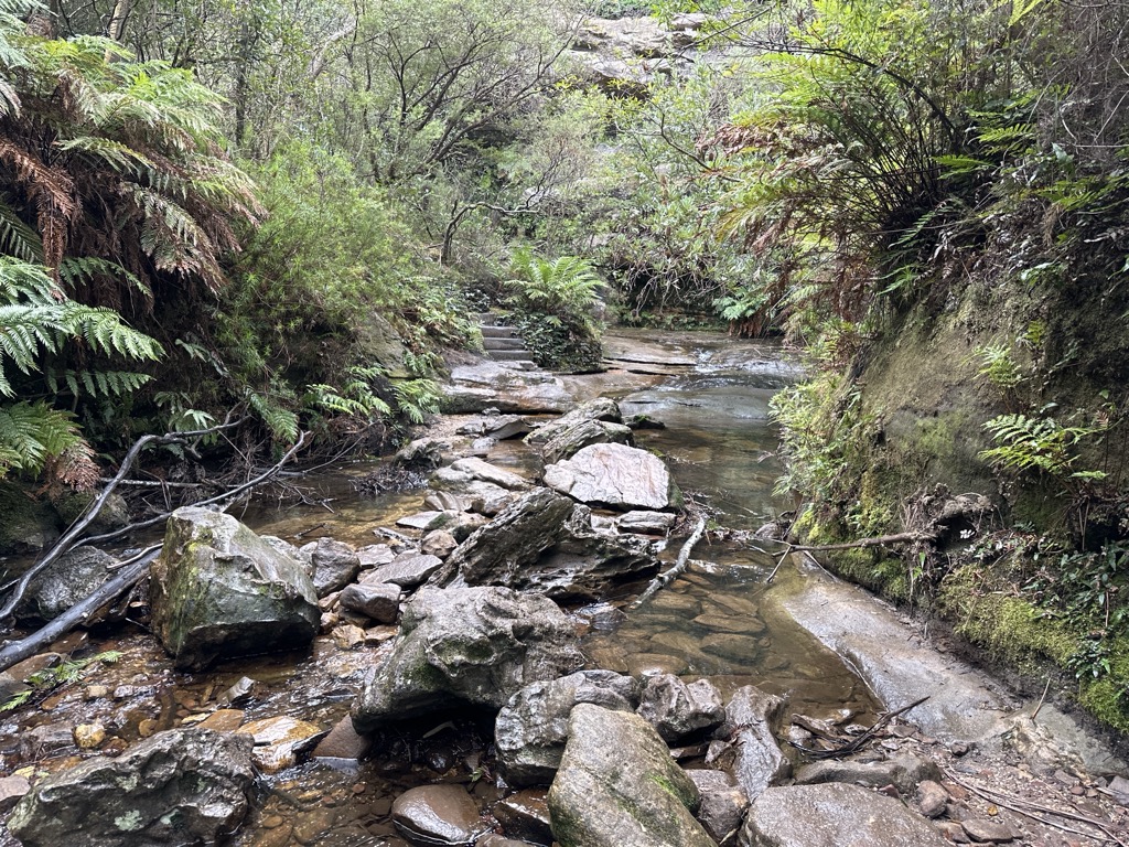 Lillien's Glen
