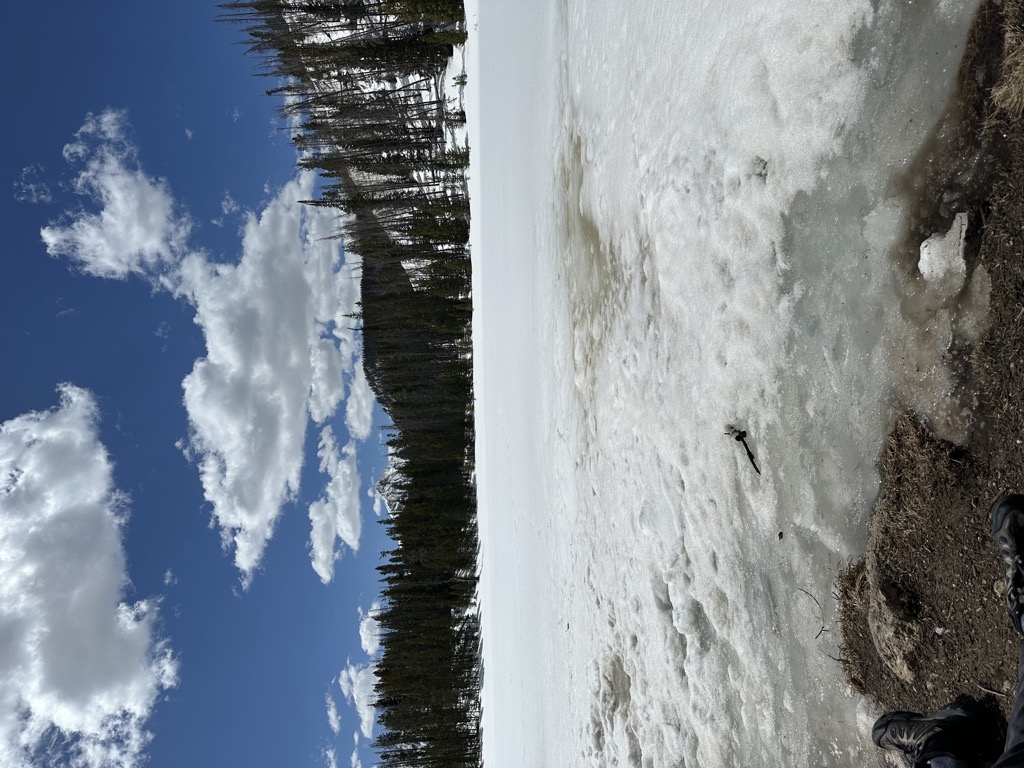 Lily Pad Lake