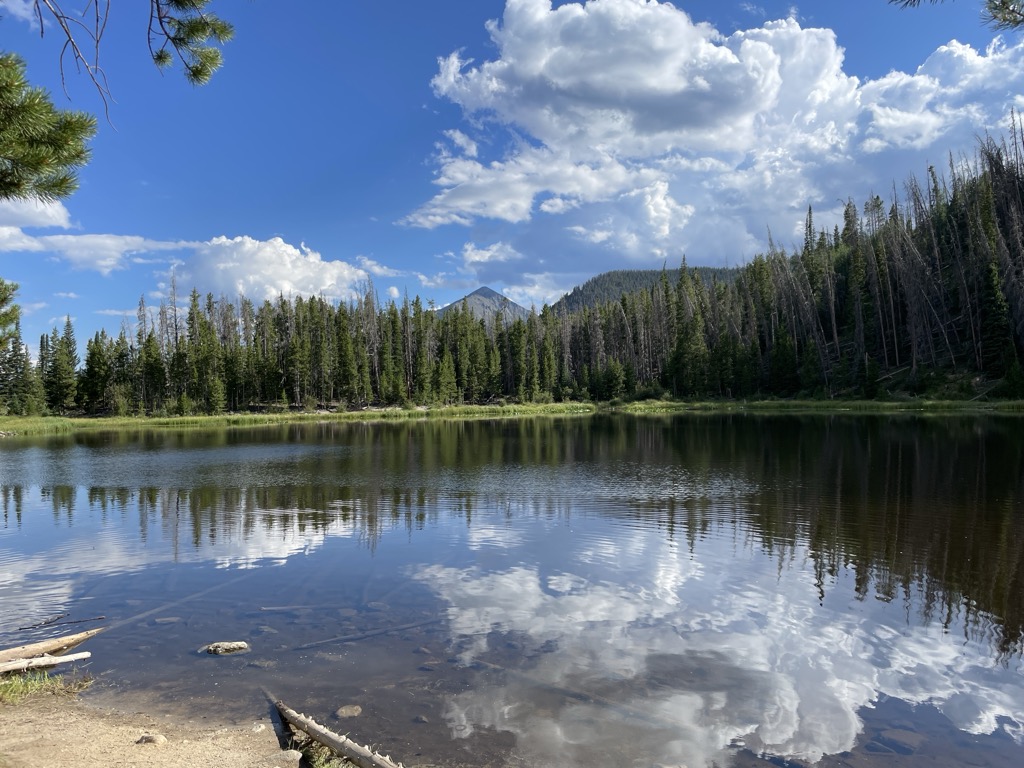 Lily Pad Lake