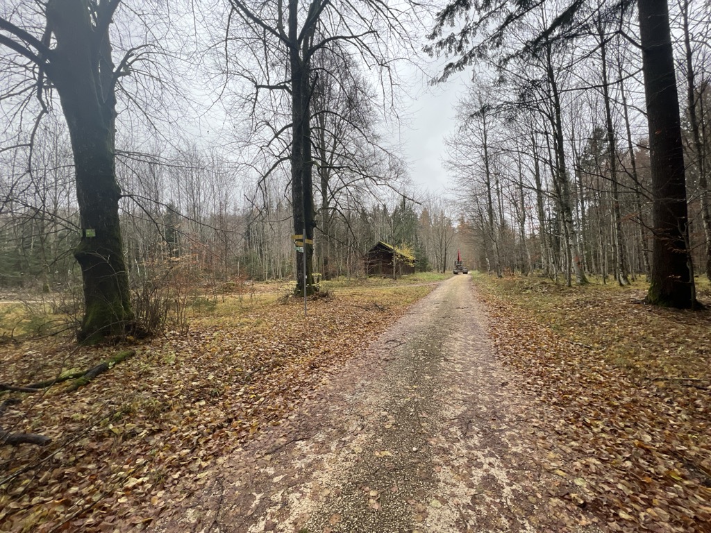 lindenhutte