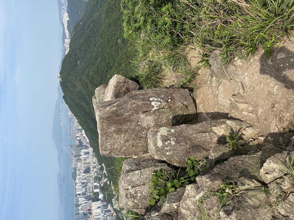 Photo №2 of Lion Head