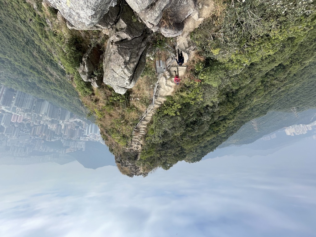 Photo №1 of Lion Head