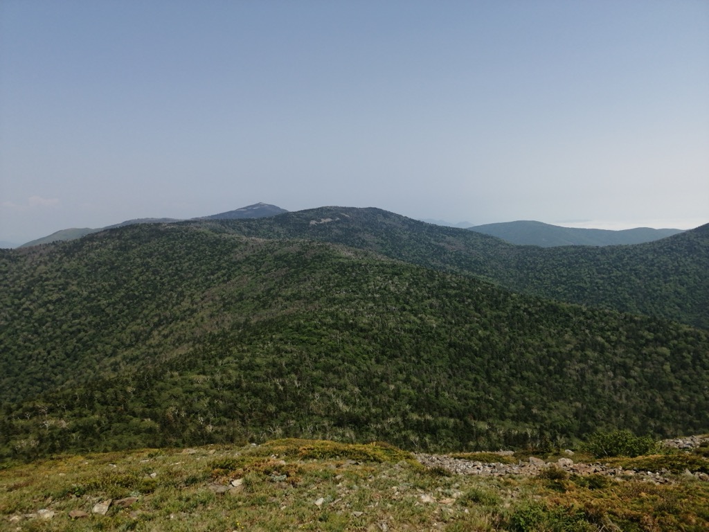 Photo №1 of Lisiy Ded