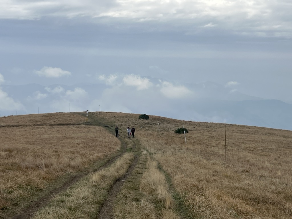 Photo №2 of Líška