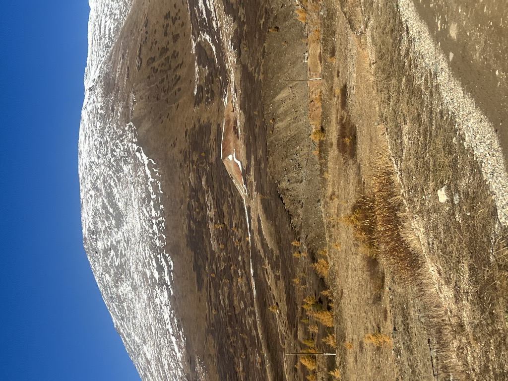 Photo №2 of Lisuha
