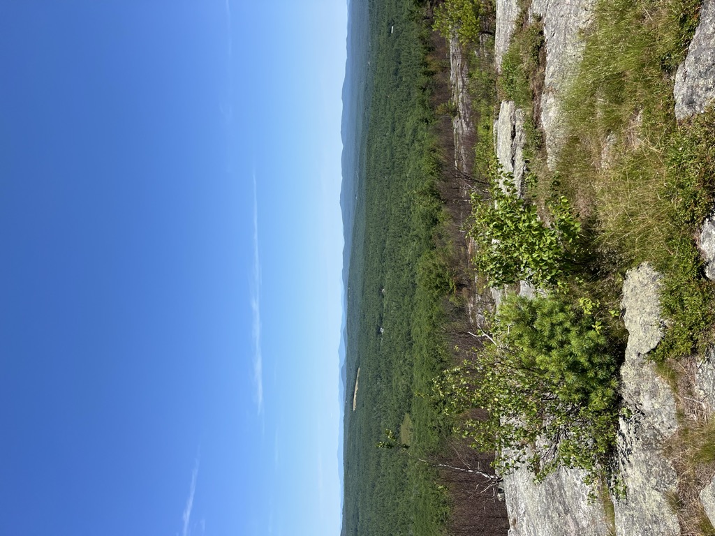 Photo №1 of Little Blue Job