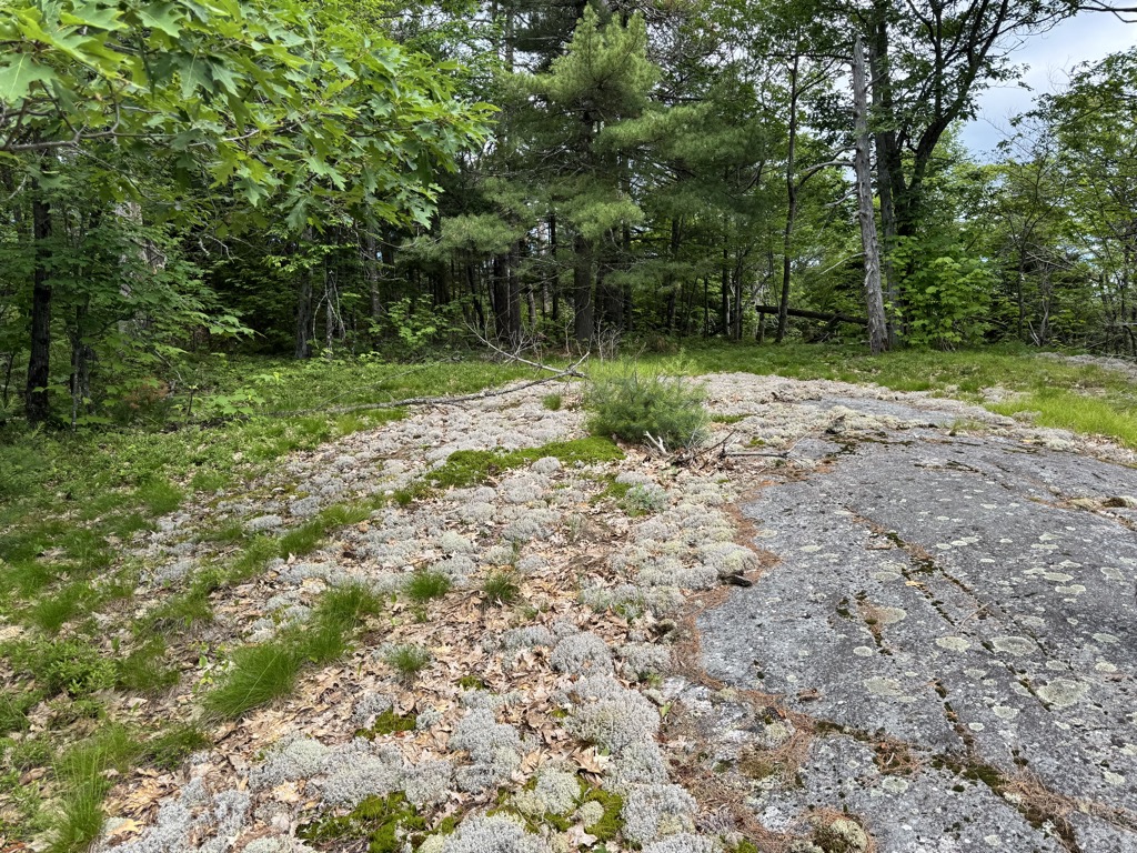 Photo №2 of Little Deerfield Mountain