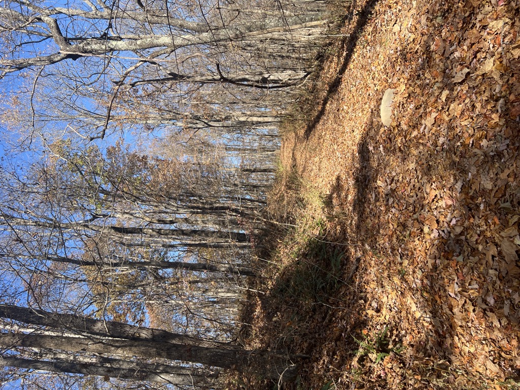 Photo №3 of Little Fork Mountain