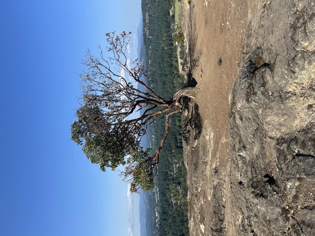 Photo №1 of Little Mount Douglas