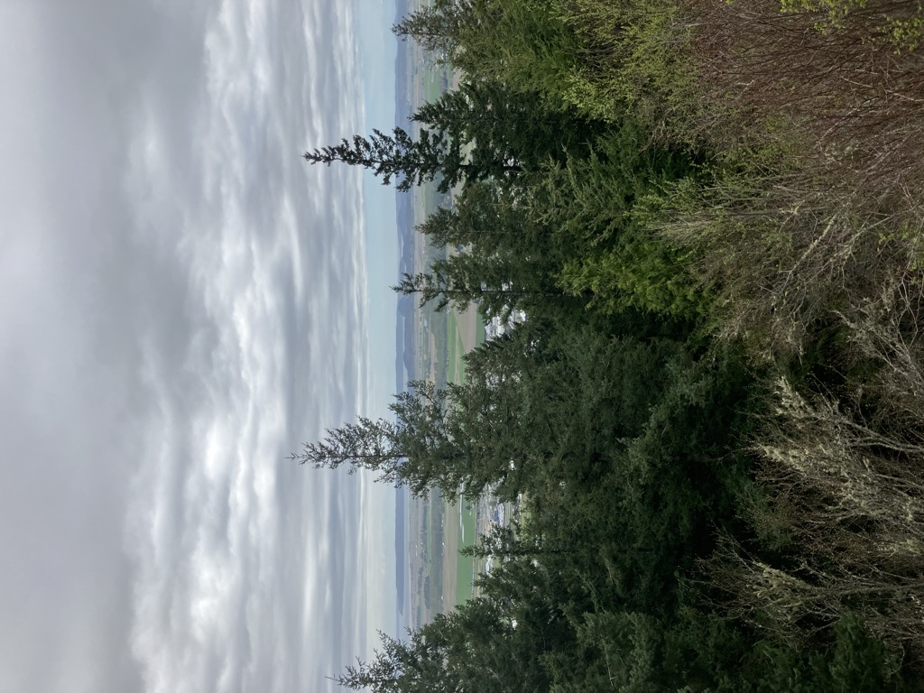 Photo №2 of Little Mountain