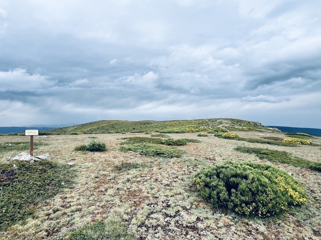 Photo №1 of Lomo Gordo