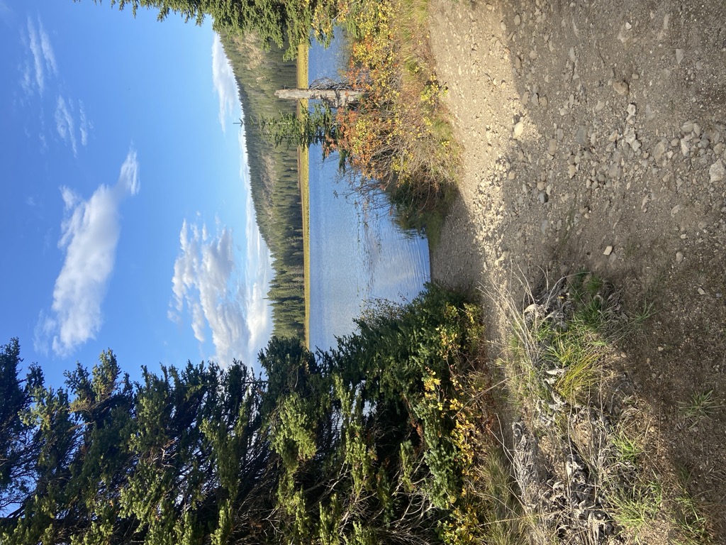 Loon Lake