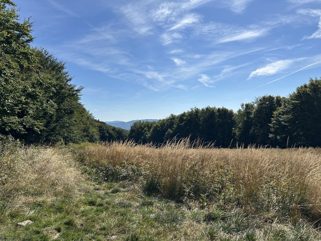 Photo №1 of Łopiennik