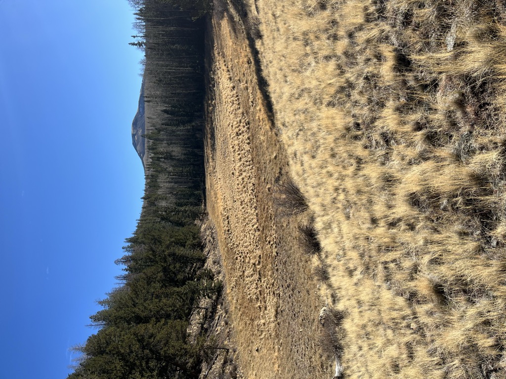 Lost Lake
