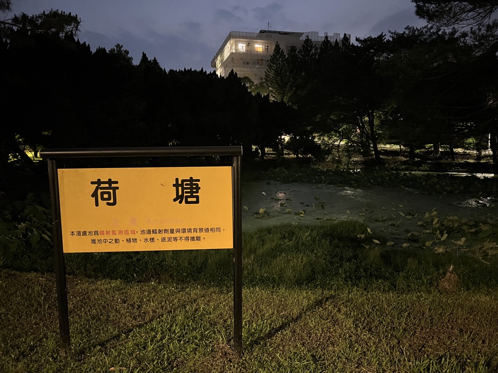 Photo №2 of Lotus pond