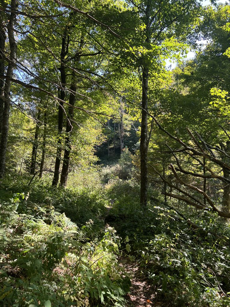 Photo №2 of Low Gap
