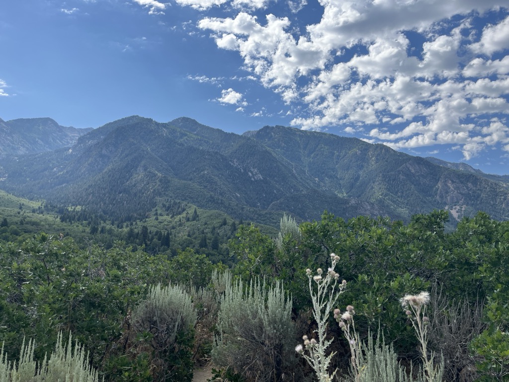 Photo №1 of Lower Bells Canyon Reservoir