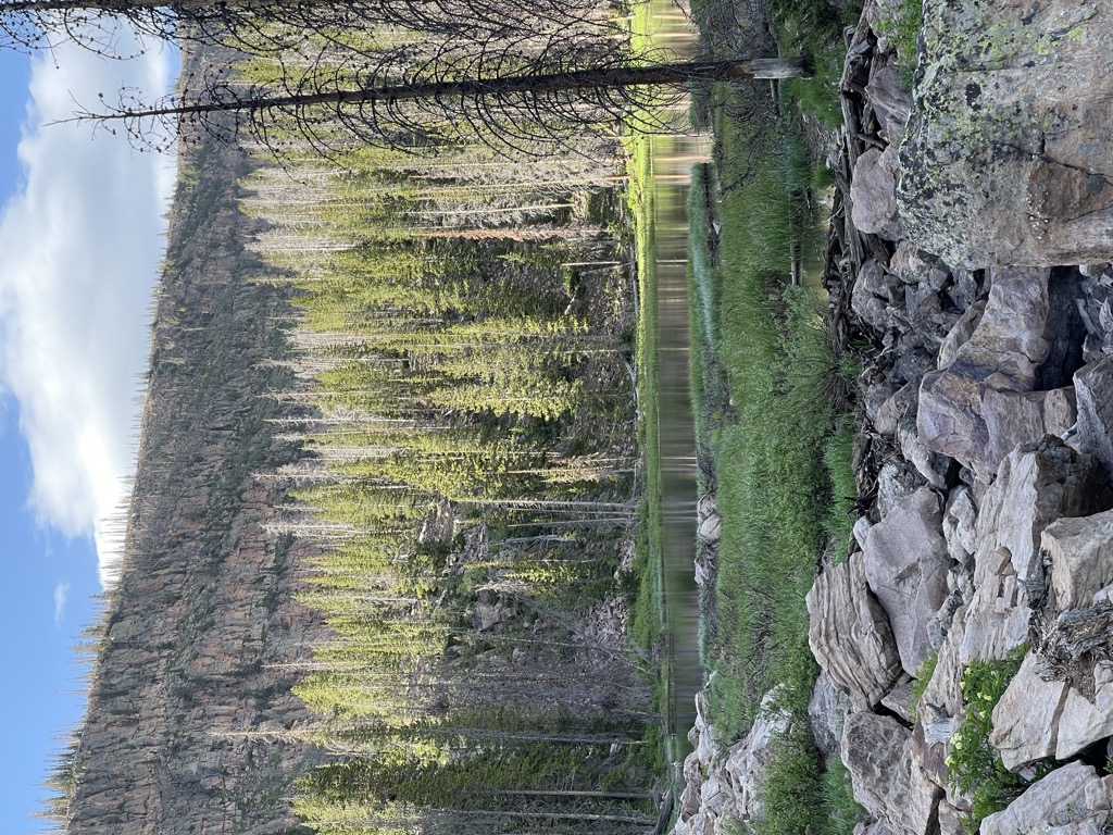 Photo №2 of Lower Yellow Pine Lake