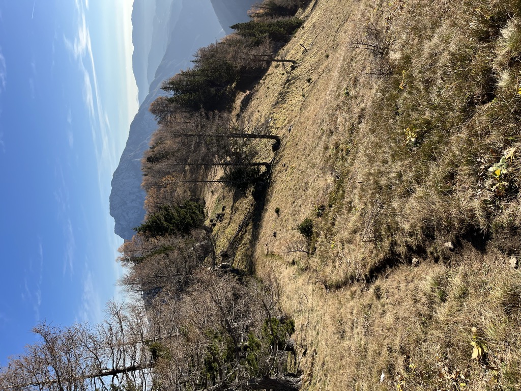 Photo №2 of Lucjan