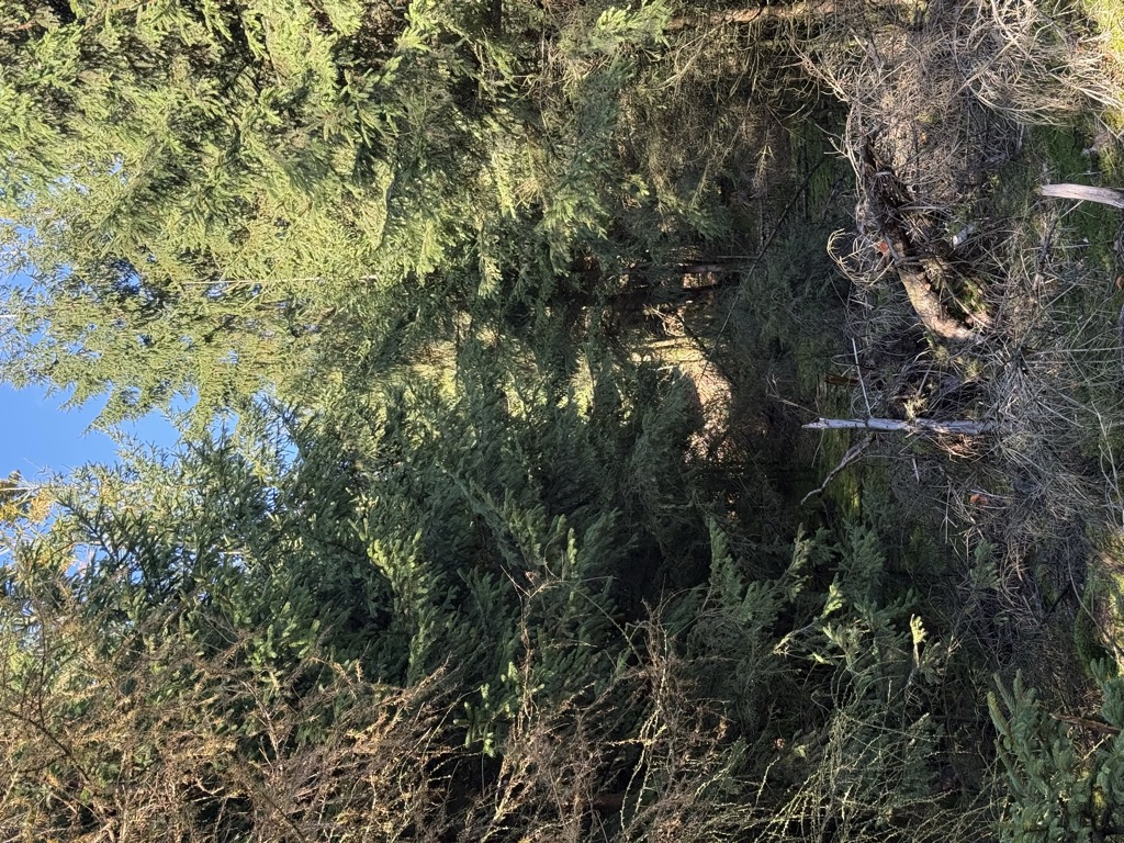 Photo №2 of Lückenkopf