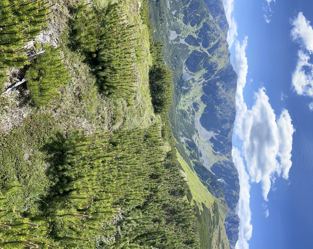 Photo №1 of Ludárova hoľa