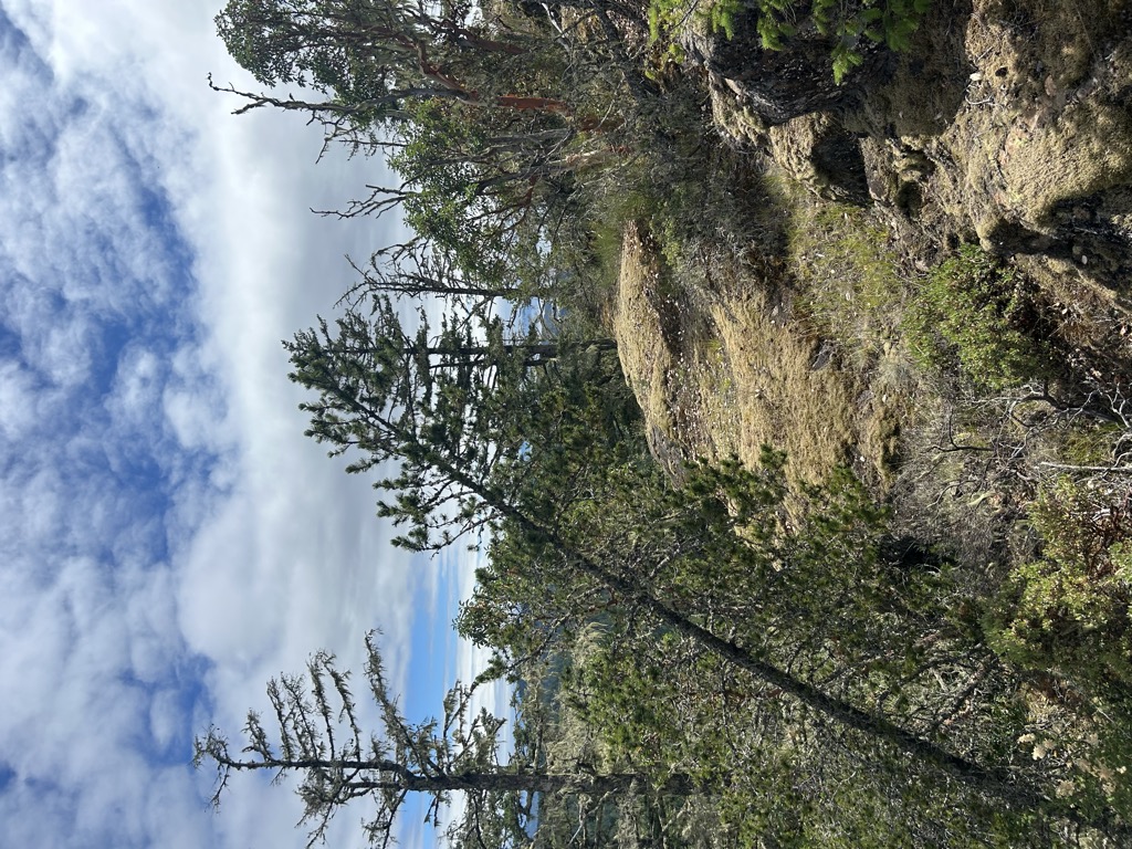 Photo №2 of Lunch Peak