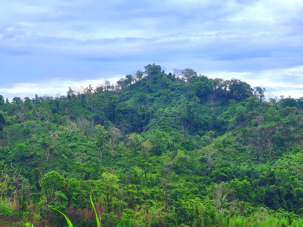 Photo №1 of Lutiban