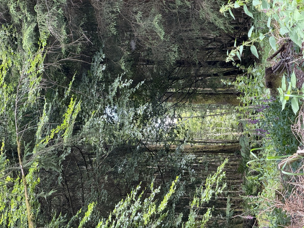 Photo №2 of Lüttekefeld