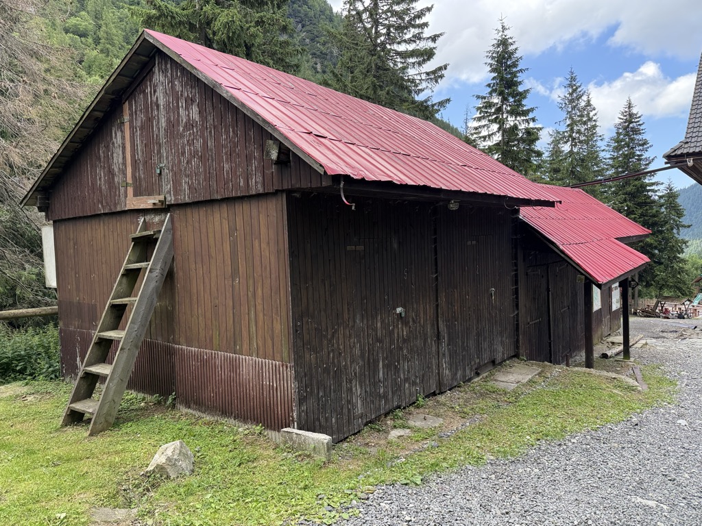 lyziaren