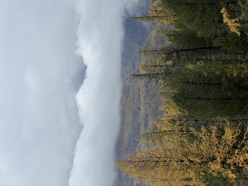 Photo №1 of Maasheybash