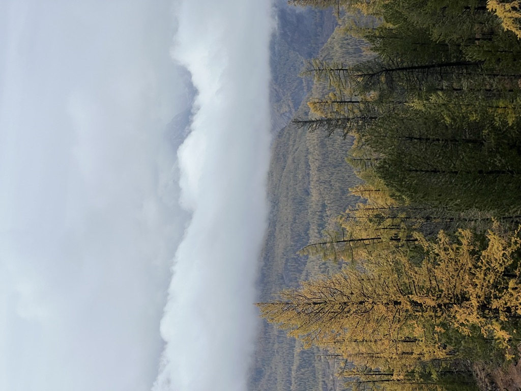 Photo №2 of Maasheybash