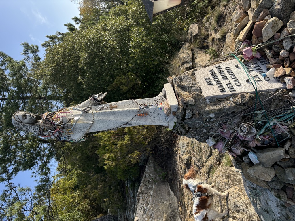 Photo №3 of Monte Caggio