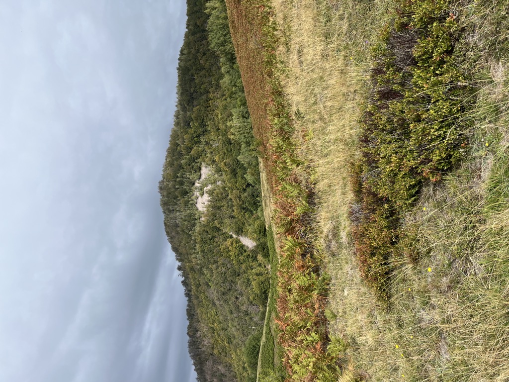 Photo №1 of Măgura Fericii