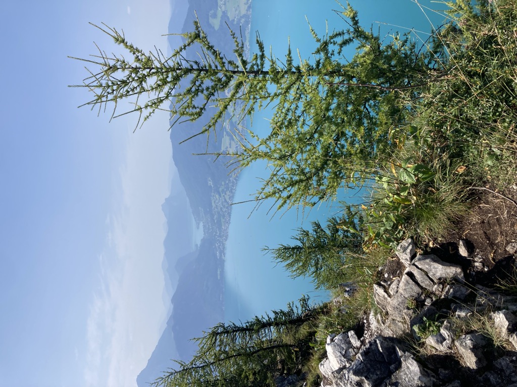 Photo №2 of Mahdlgupf