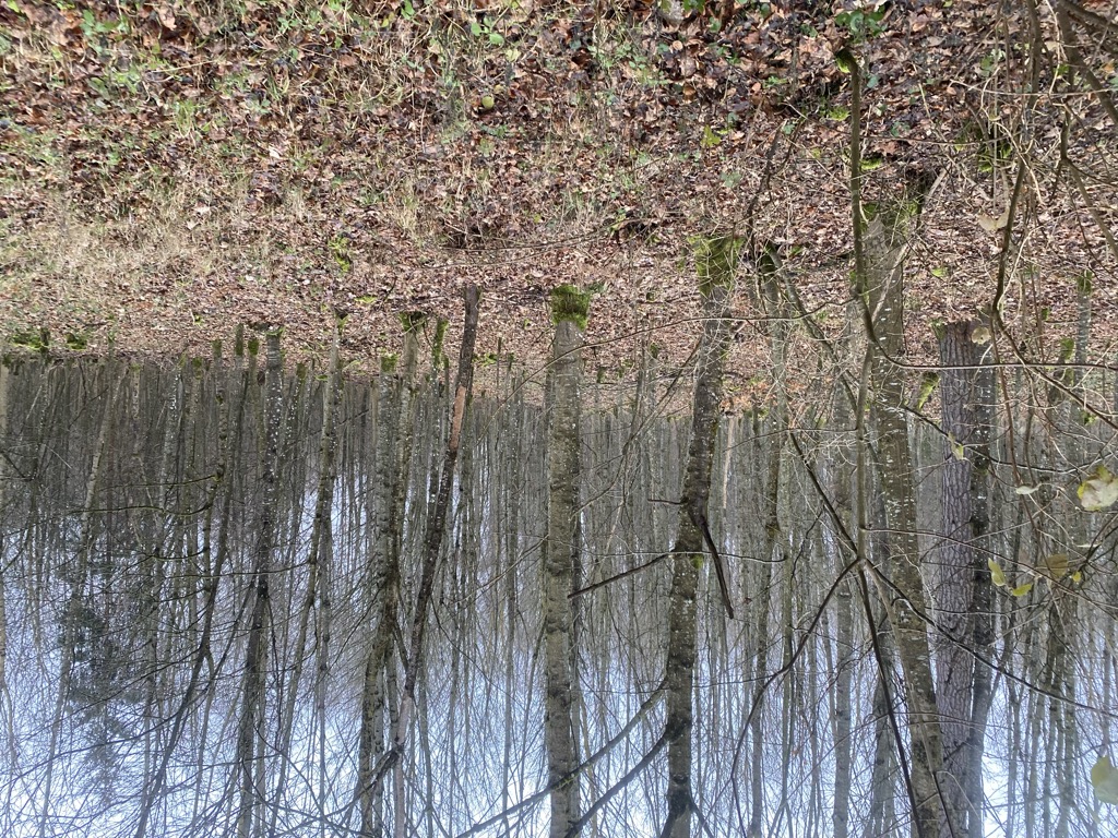 Photo №1 of Mähringer Berg