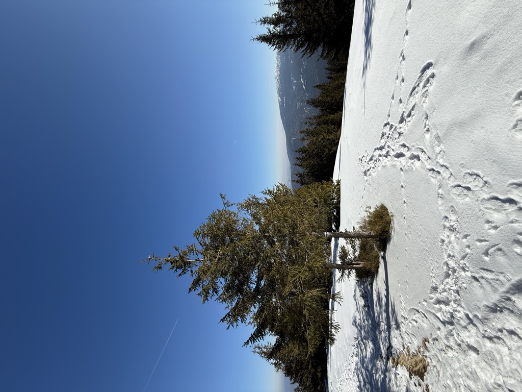 Photo №1 of Majcherkowa