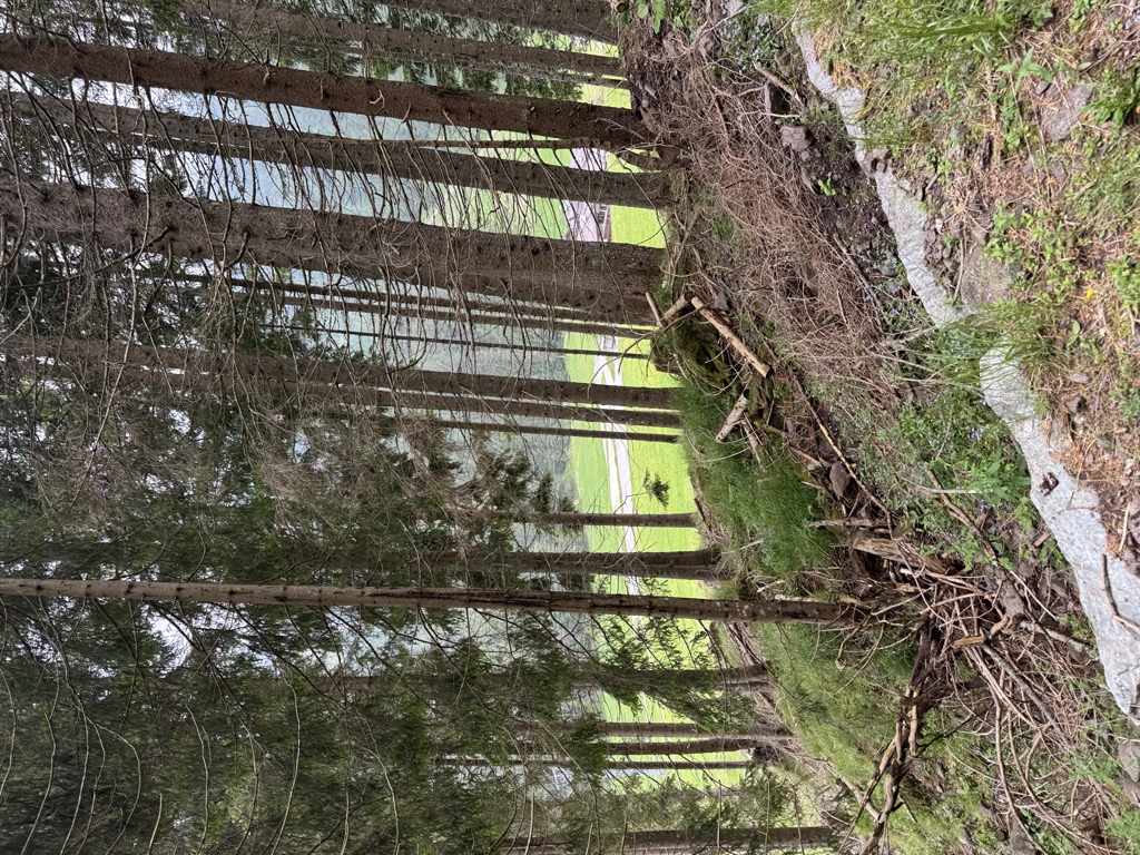 malga-ces-5