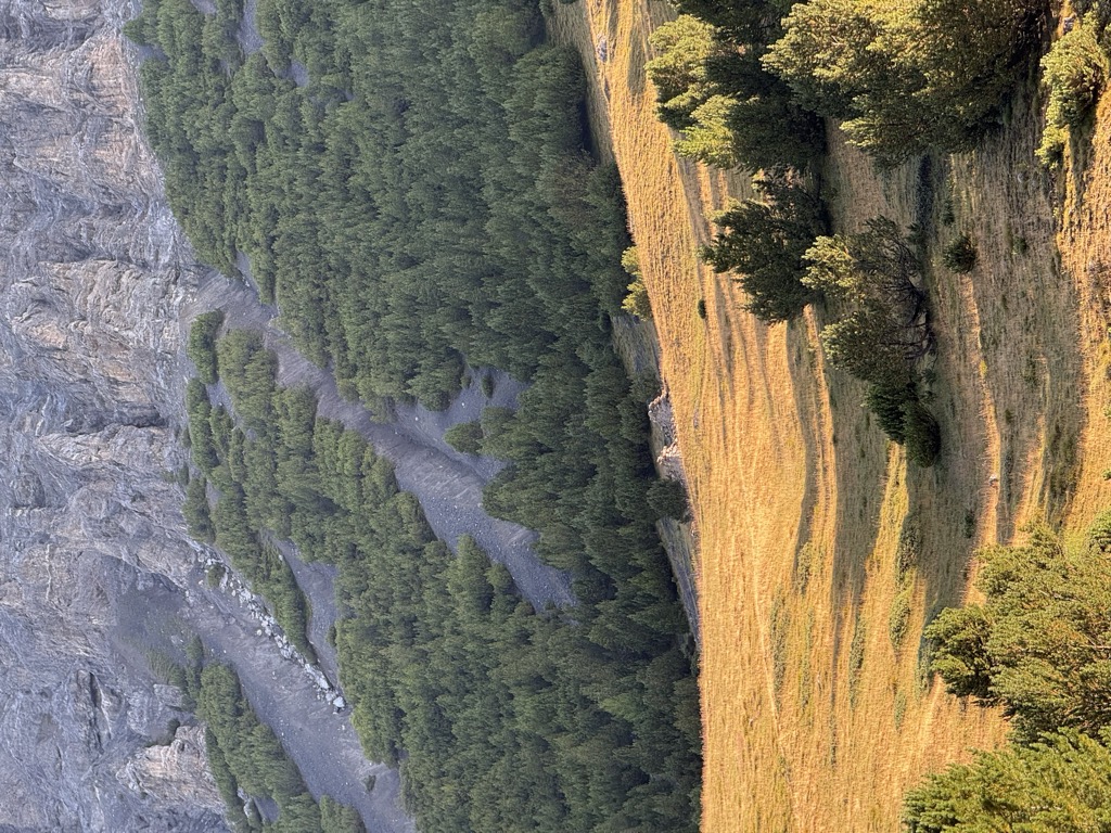 malga-di-val-alpisella