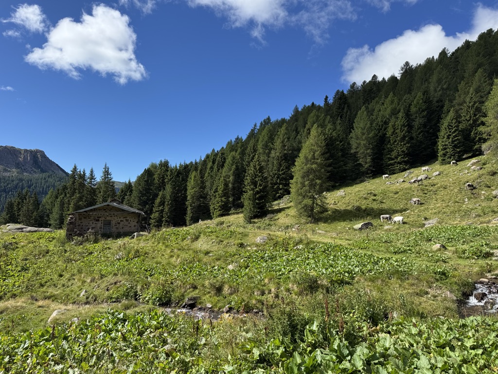 malga-juribrutto