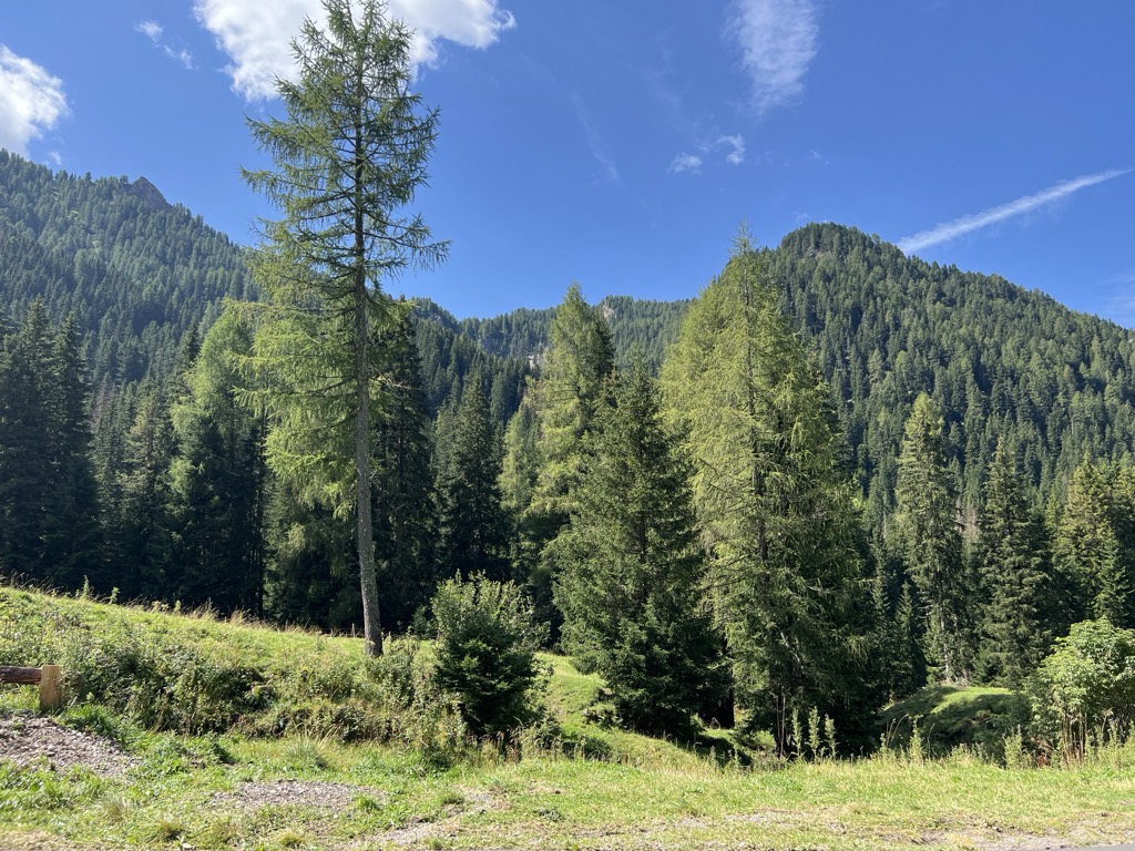 malga-mezzaselva